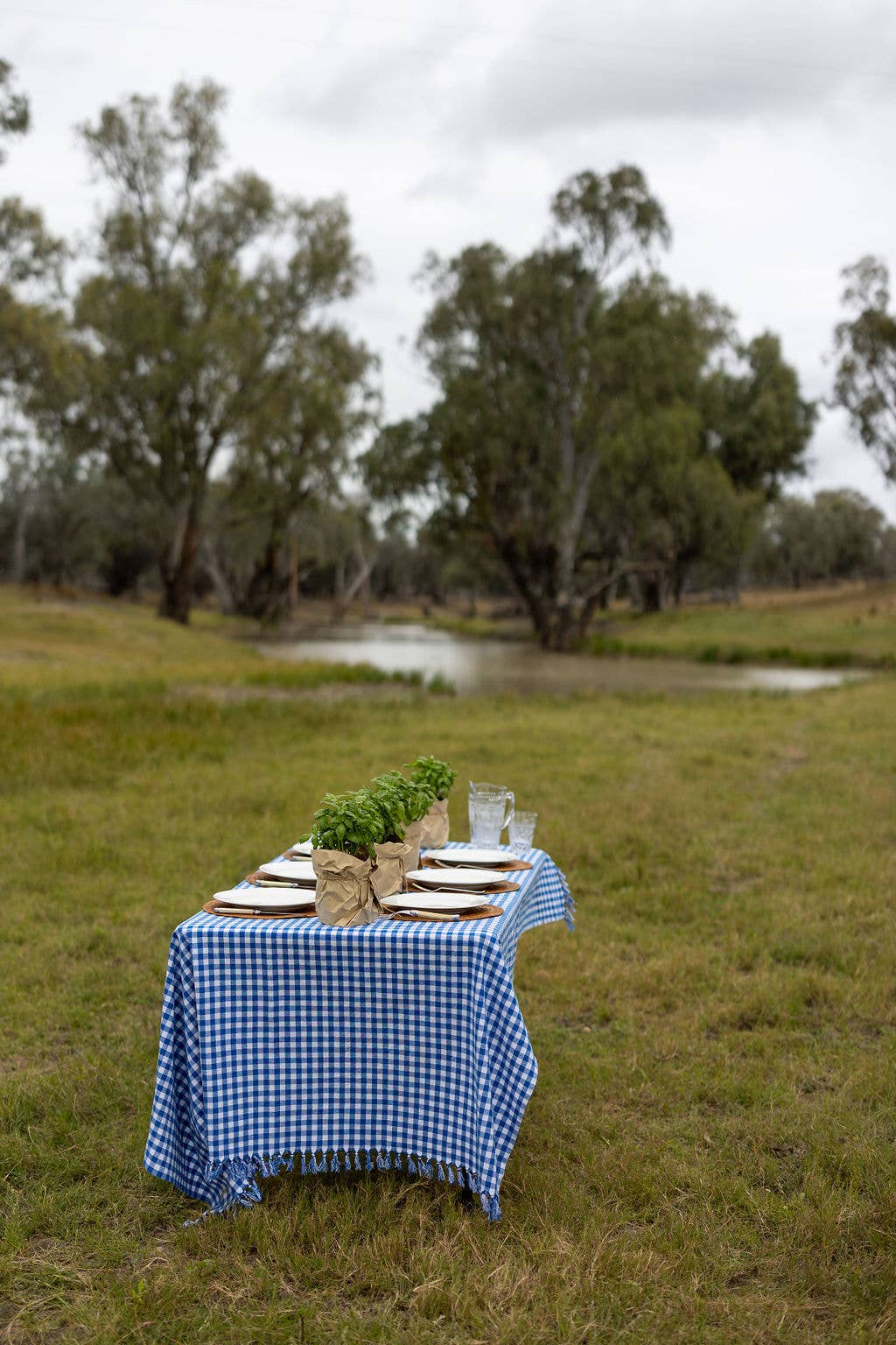 Blue Gingham Tablecloth