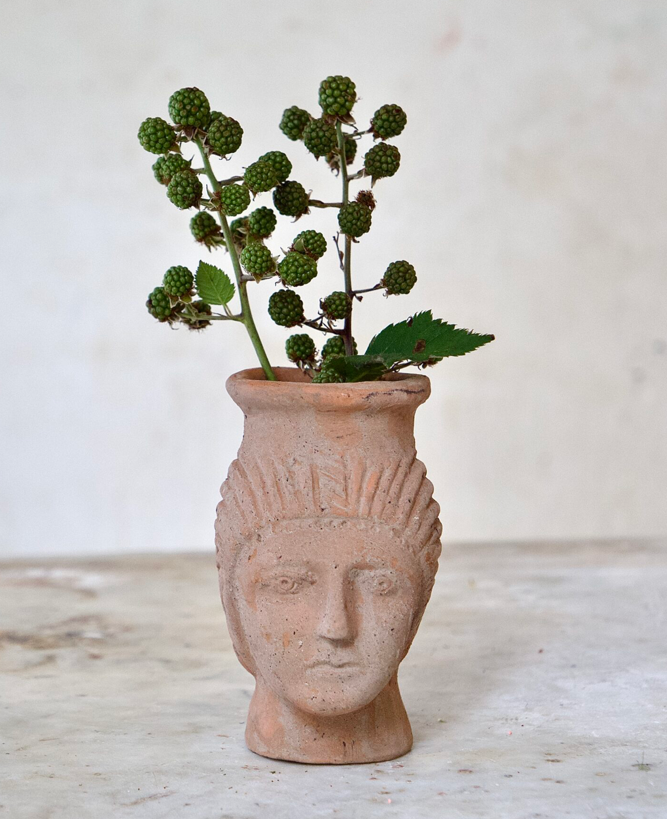 Deborah Terracotta