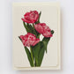 Pink Tulips Greeting Card | Birthday Card | Luxury Cards