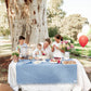 Blue Gingham Tablecloth