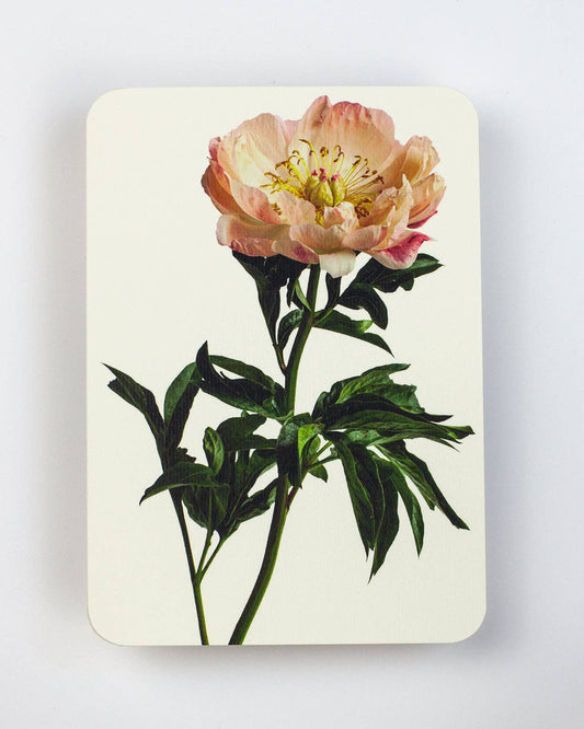 Peony Greeting Card | Birthday Card | Luxury Cards