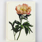 Peony Greeting Card | Birthday Card | Luxury Cards
