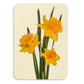 Posy of Daffodils Greeting Card | Birthday Card