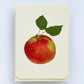 Tydeman's Late Orange Apple Greeting Card | Birthday Card