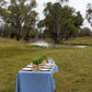 Blue Gingham Tablecloth
