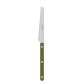Tomato knife Bistrot Solid, Green Fern