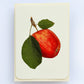 Cox's Orange Pippin Apple Greeting Card | Birthday Card