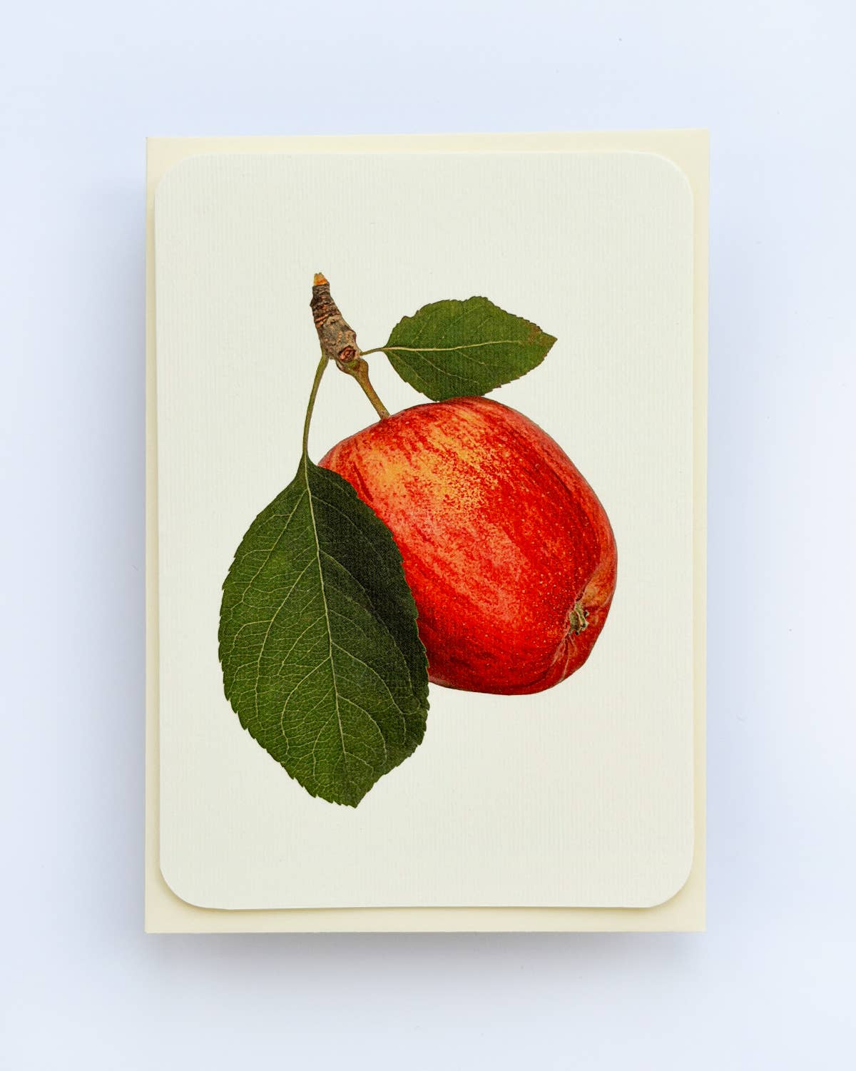 Cox's Orange Pippin Apple Greeting Card | Birthday Card