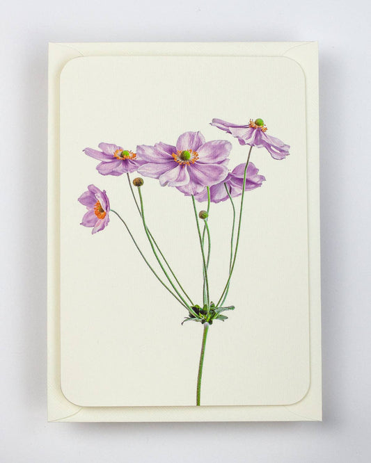 Anemone Greeting Card | Birthday Card | Luxury Cards