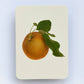 Egremont Russet Apple Greeting Card | Birthday Card