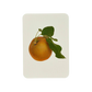 Egremont Russet Apple Greeting Card | Birthday Card