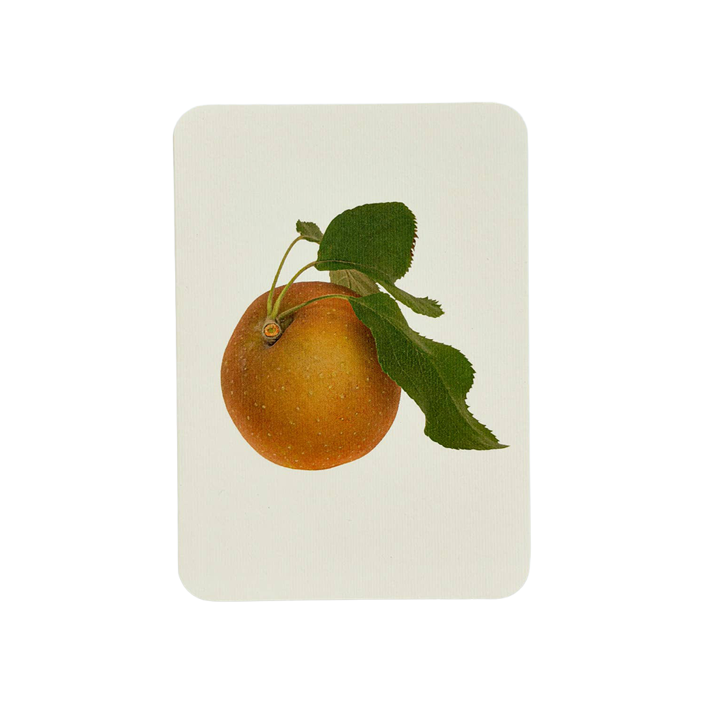Egremont Russet Apple Greeting Card | Birthday Card