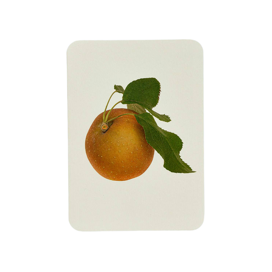 Egremont Russet Apple Greeting Card | Birthday Card