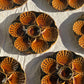 Ceramic oyster or shell plate