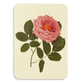 Mauve Rose Greeting Card | Birthday Card