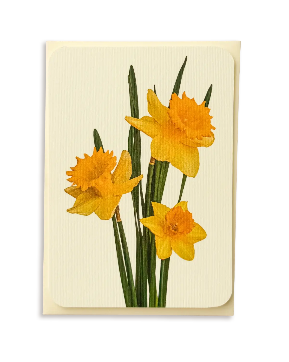 Posy of Daffodils Greeting Card | Birthday Card