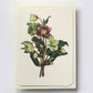 Posy of Hellebore Greeting Card | Birthday Card