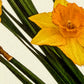 Posy of Daffodils Greeting Card | Birthday Card