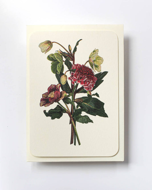 Posy of Hellebore & Scabiosa I Greeting Card | Birthday Card