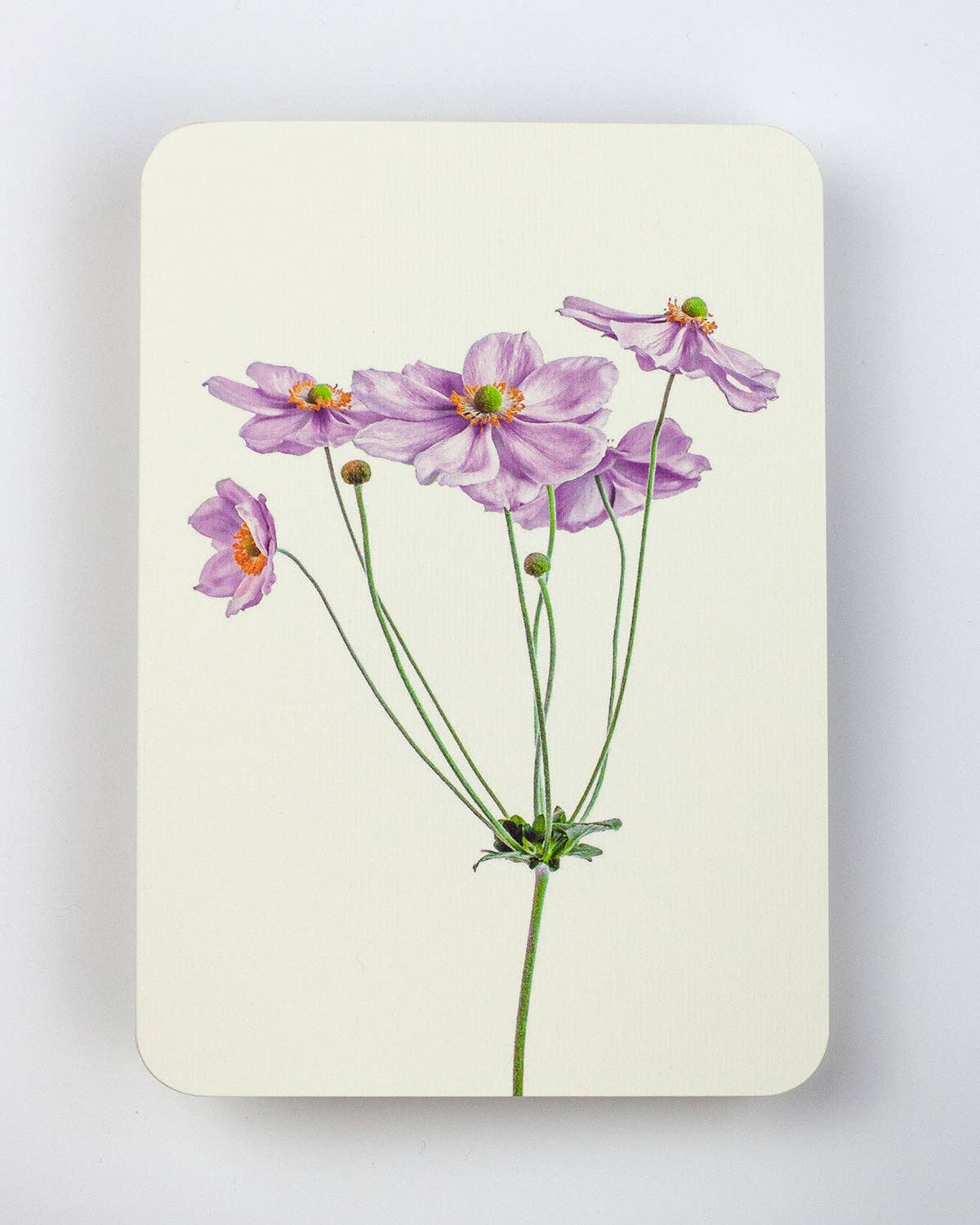 Anemone Greeting Card | Birthday Card | Luxury Cards
