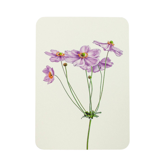 Anemone Greeting Card | Birthday Card | Luxury Cards