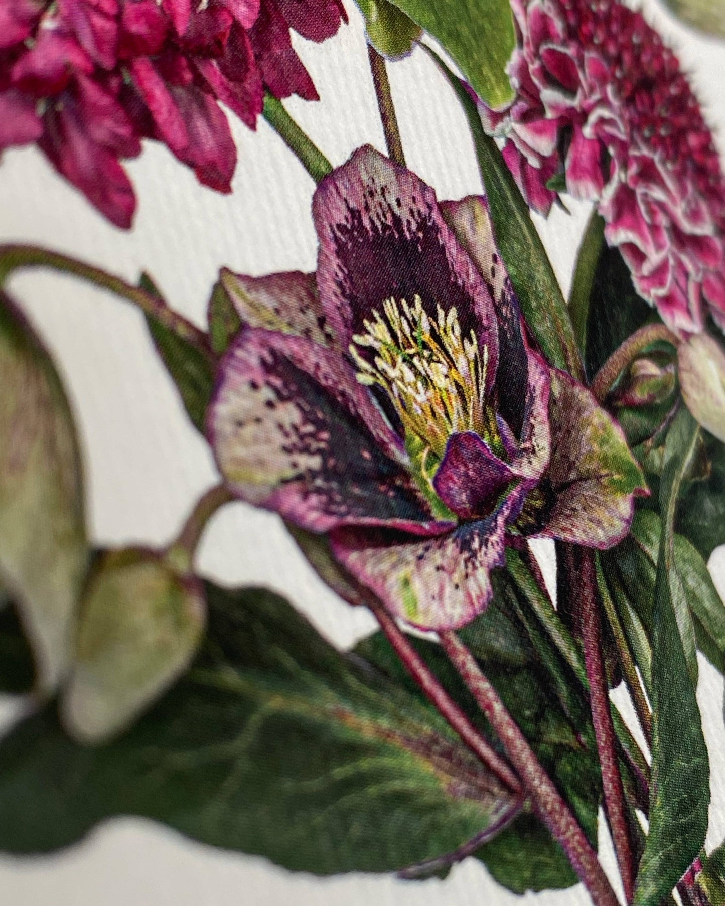 Posy of Hellebore & Scabiosa I Greeting Card | Birthday Card