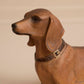 Hans resin dachshund sculpture, alternate view