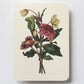 Posy of Hellebore & Scabiosa I Greeting Card | Birthday Card