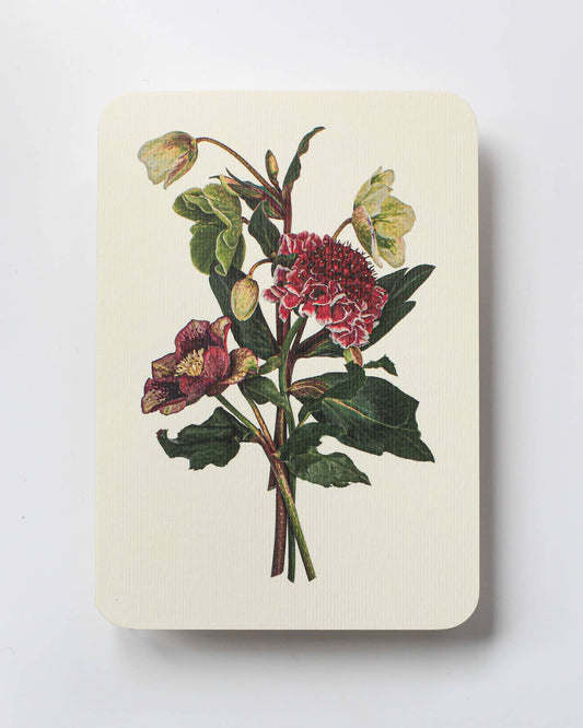 Posy of Hellebore & Scabiosa I Greeting Card | Birthday Card