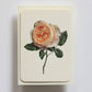 Soft Peach Rose Greeting Card | Birthday Card | Luxury Cards