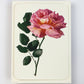 Pink Rose Greeting Card | Birthday Card | Luxury Cards