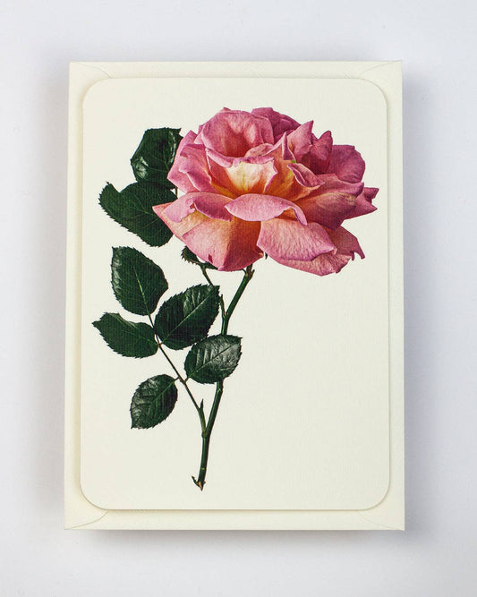 Pink Rose Greeting Card | Birthday Card | Luxury Cards