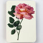 Pink Rose Greeting Card | Birthday Card | Luxury Cards