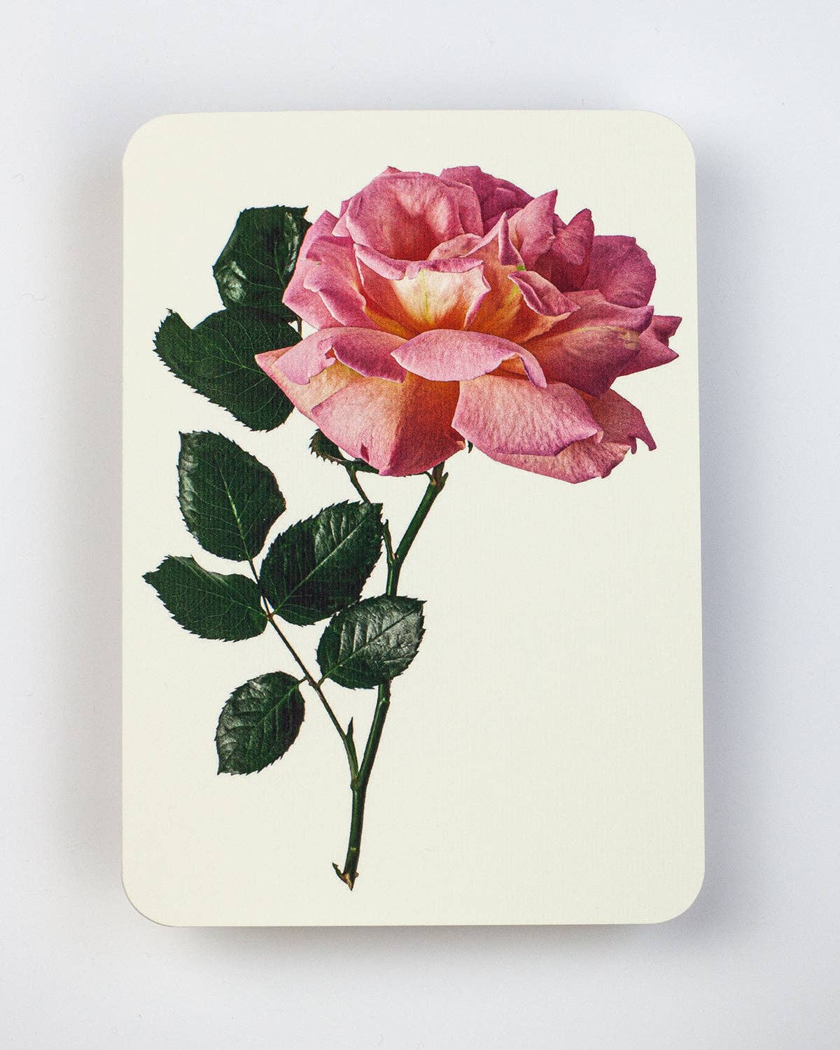 Pink Rose Greeting Card | Birthday Card | Luxury Cards