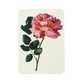 Pink Rose Greeting Card | Birthday Card | Luxury Cards