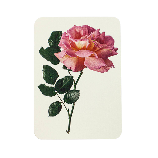 Pink Rose Greeting Card | Birthday Card | Luxury Cards