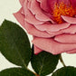Mauve Rose Greeting Card | Birthday Card