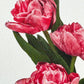 Pink Tulips Greeting Card | Birthday Card | Luxury Cards