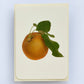 Egremont Russet Apple Greeting Card | Birthday Card