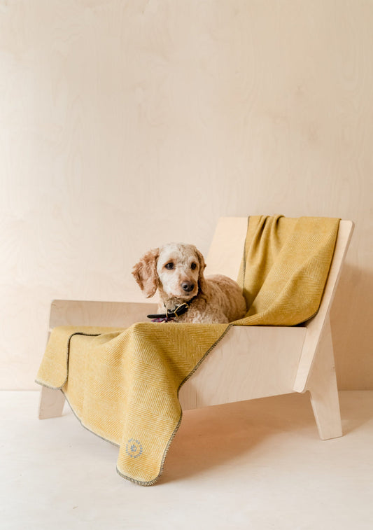 Large Pet Blanket in Mustard Herringbone