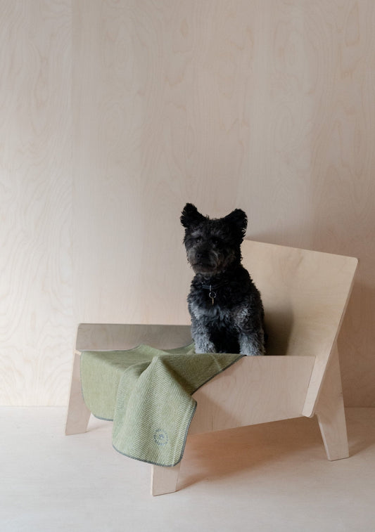 Small Pet Blanket in Olive Herringbone