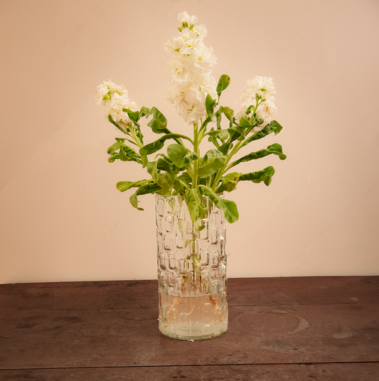 Elsa Vase