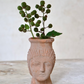 Deborah Terracotta