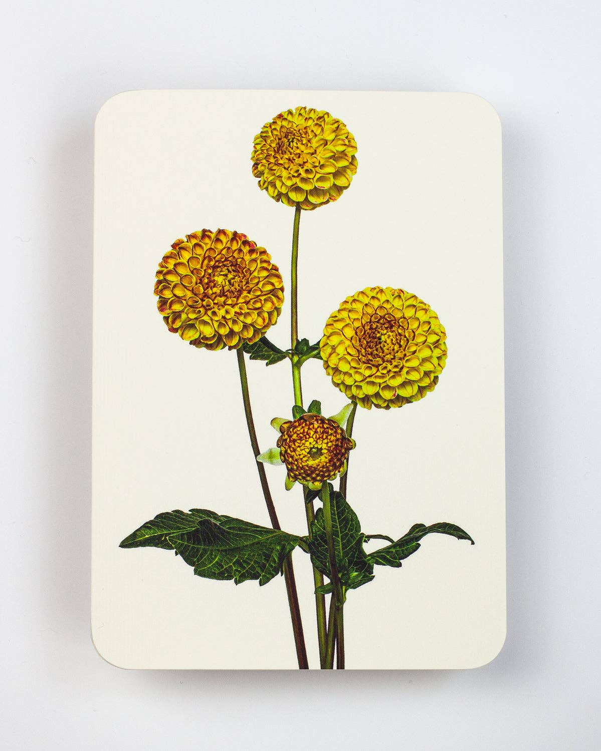 Dahlia Greeting Card | Birthday Card | Luxury Cards