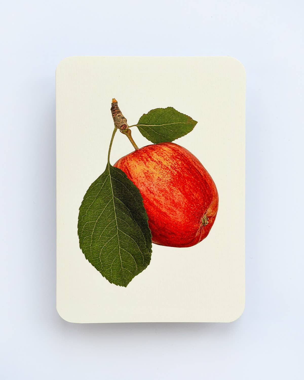 Cox's Orange Pippin Apple Greeting Card | Birthday Card