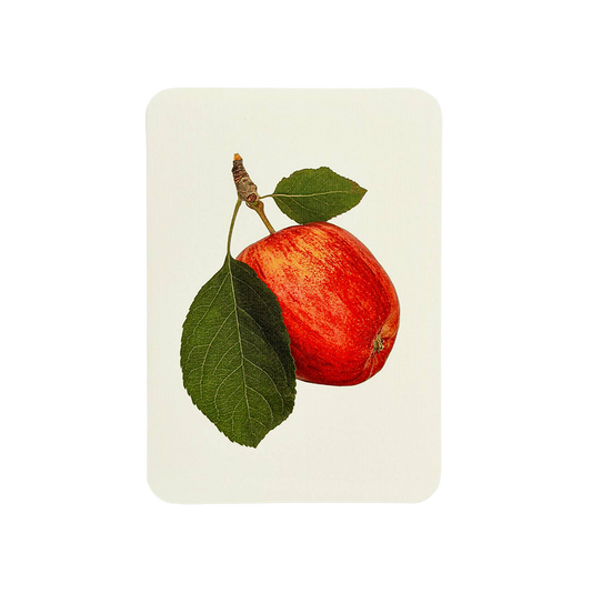 Cox's Orange Pippin Apple Greeting Card | Birthday Card