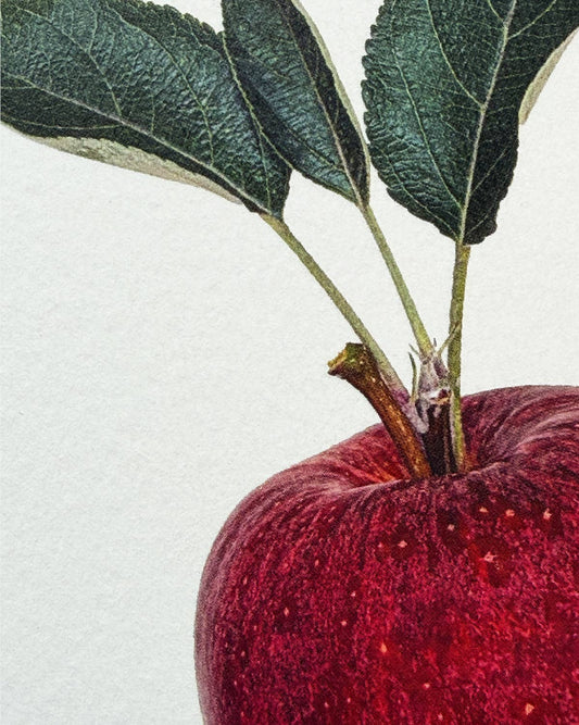 Red Devil Apple Greeting Card | Birthday Card