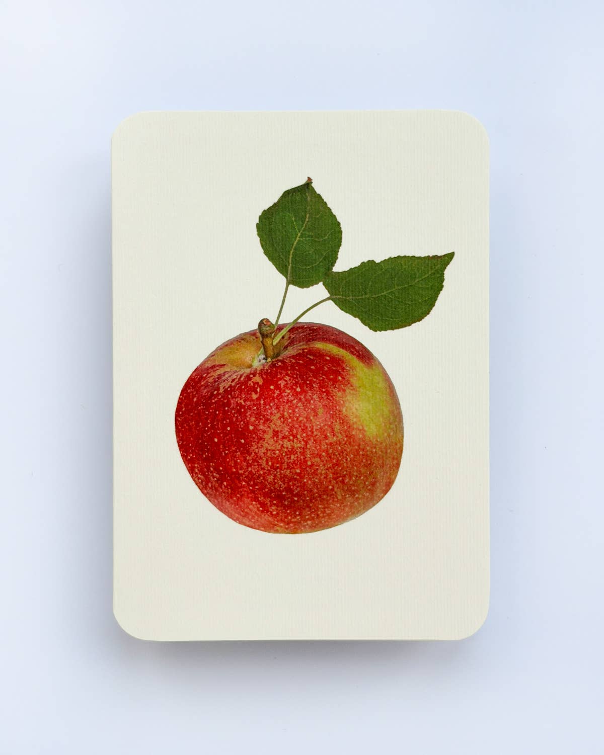 Tydeman's Late Orange Apple Greeting Card | Birthday Card