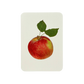 Tydeman's Late Orange Apple Greeting Card | Birthday Card