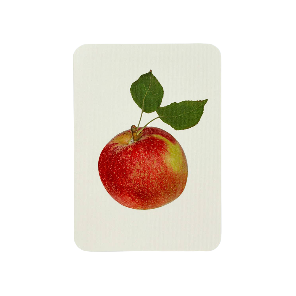Tydeman's Late Orange Apple Greeting Card | Birthday Card